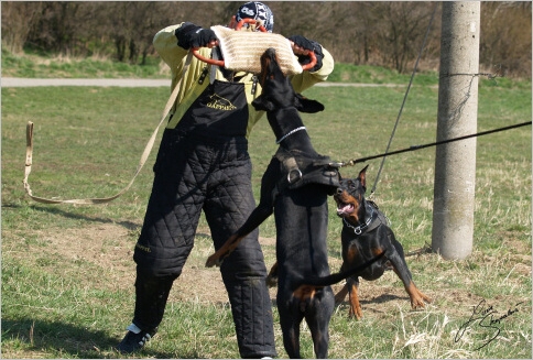 Training in Prague - 2. 4. 2008